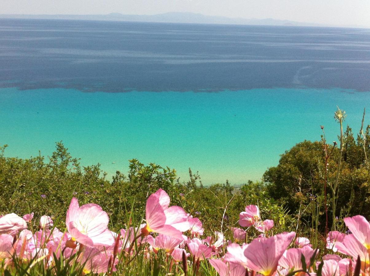 Aegean Blue Studios Άφυτος Εξωτερικό φωτογραφία