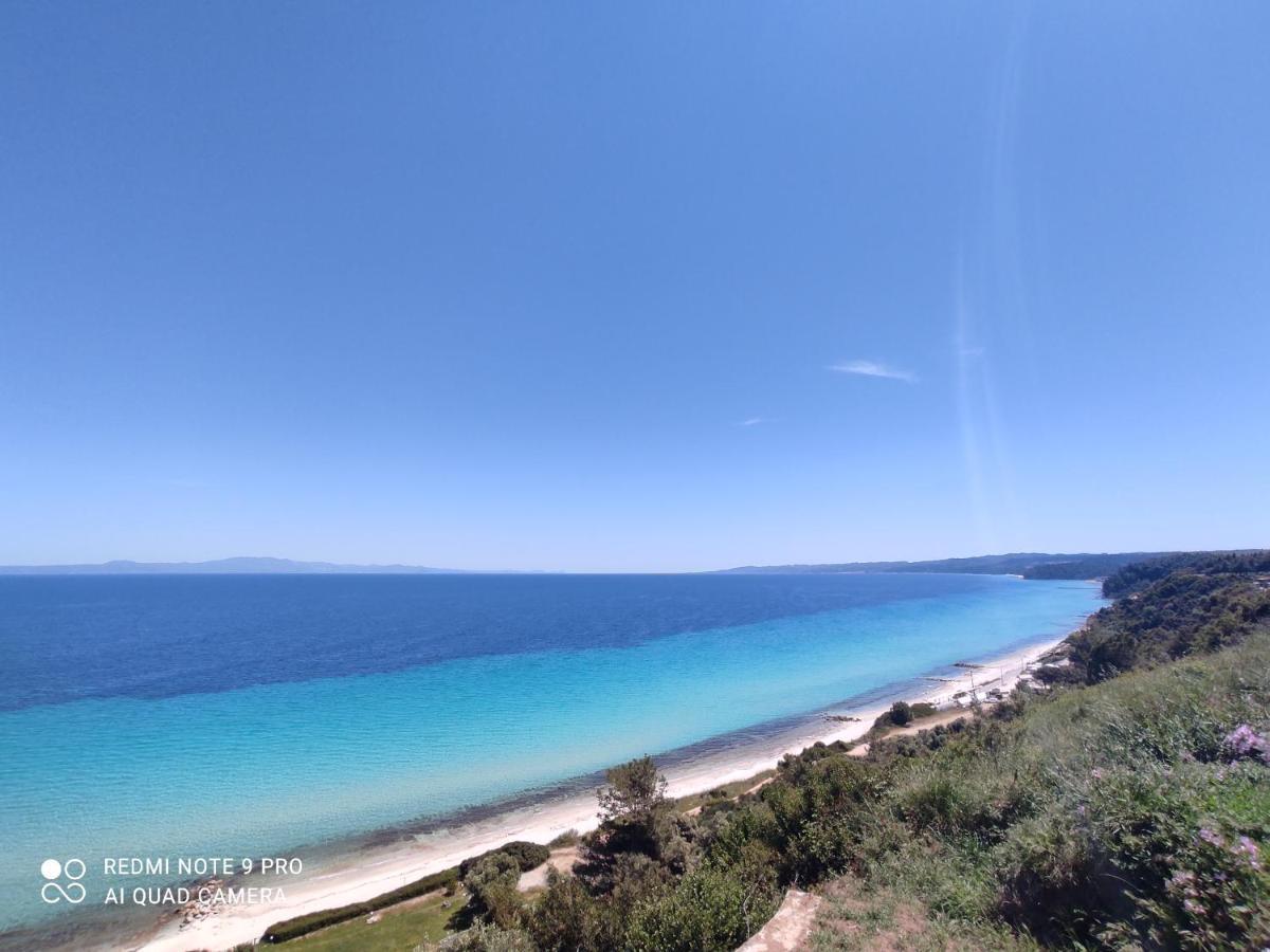 Aegean Blue Studios Άφυτος Εξωτερικό φωτογραφία